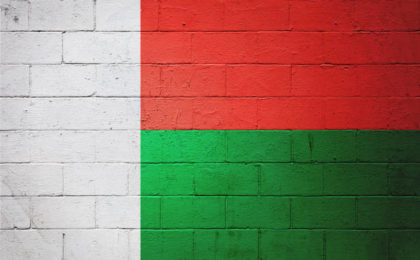 le drapeau malgache peint sur un mur en brique-domicilier un siège social à Madagascar-Buroservices
